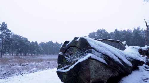 有关dwingelderveld, 下雪的, 冬季的免费素材视频