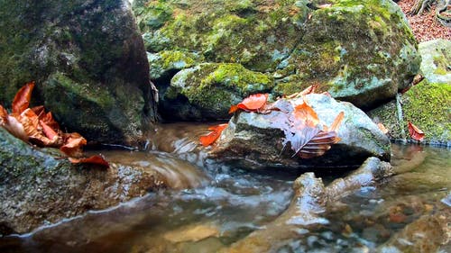 有关天性, 小河, 岩石的免费素材视频
