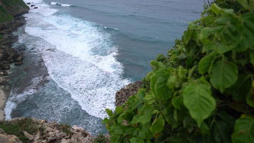 有关增长, 多风, 大浪的免费素材视频