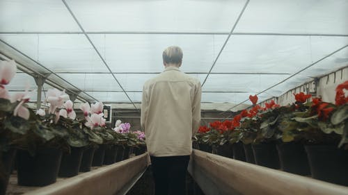 有关人, 手套, 植物的免费素材视频