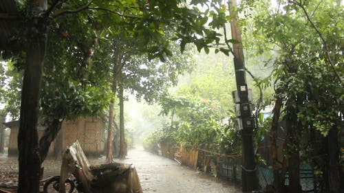 有关下雨天, 倾盆大雨, 倾盆大雨的免费素材视频