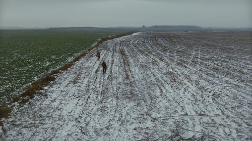 有关下雪的, 冰, 冷的免费素材视频