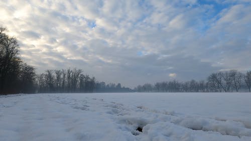 有关下雪的, 下雪的天气, 低角度拍摄的免费素材视频