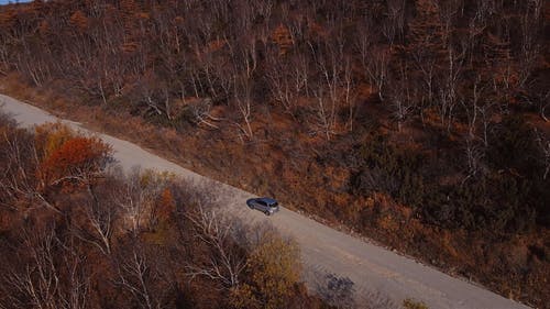 有关天空, 户外, 日光的免费素材视频