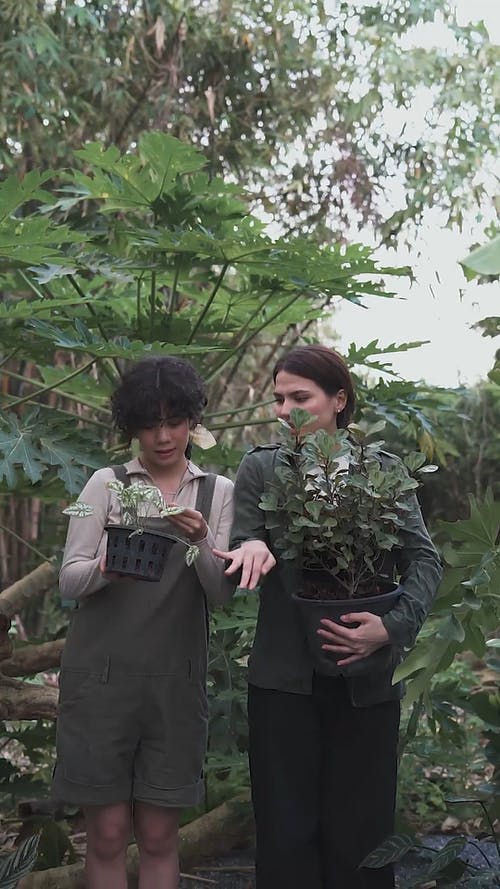 有关享受, 修剪花草, 嗜好的免费素材视频