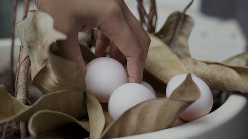 有关人, 干, 手的免费素材视频