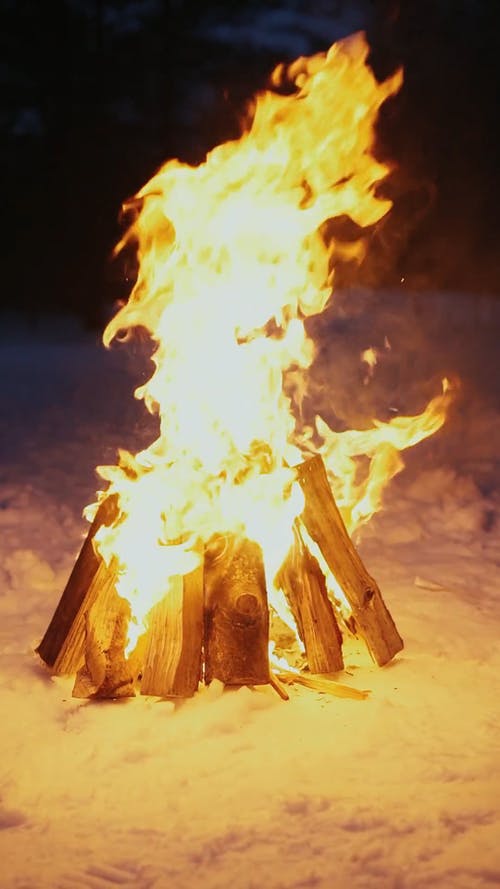 有关下雪的, 冬季, 冷的免费素材视频