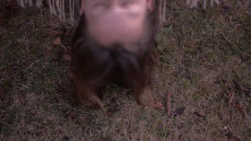 有关吊床, 女孩, 少年的免费素材视频