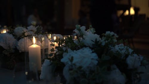 有关事件, 优雅, 场合的免费素材视频