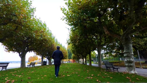 有关公园, 公园长椅, 後视图的免费素材视频