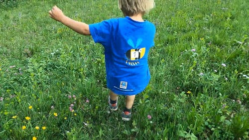 有关後视图, 户外, 播放的免费素材视频