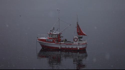 有关下雪, 不清楚, 冬季的免费素材视频