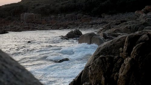 有关墨尔本, 天性, 岩石海岸的免费素材视频