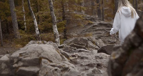 有关公园, 土地, 地面的免费素材视频