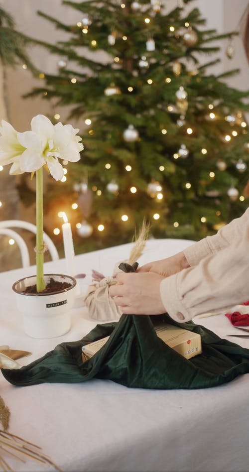 有关包装纸, 垂直视频, 女人的免费素材视频