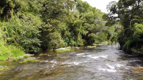 有关天性, 岩石, 林地的免费素材视频