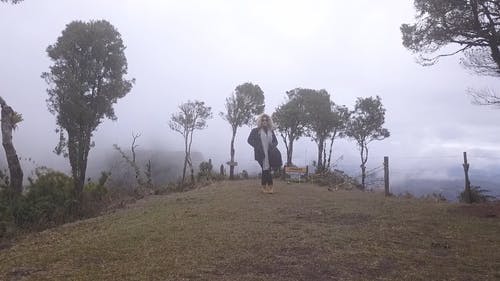 有关冒险, 剪影, 和平的的免费素材视频