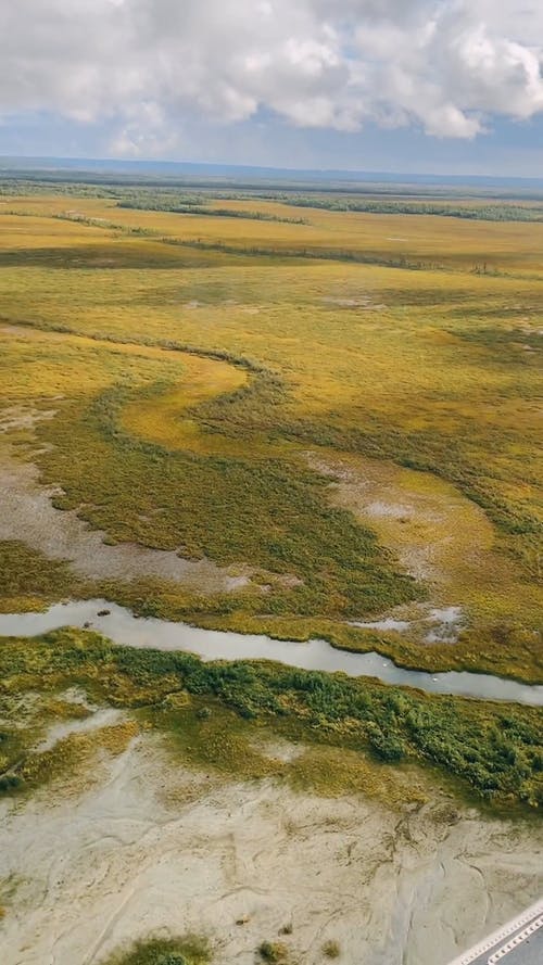 有关垂直视频, 天性, 户外的免费素材视频