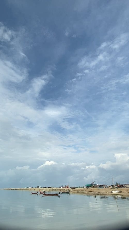 有关垂直视频, 天性, 天空的免费素材视频