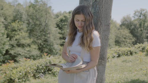 有关享受, 休闲, 公园的免费素材视频