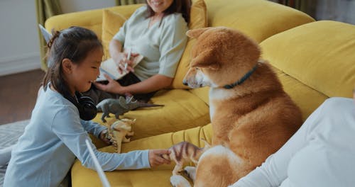 一个女孩和他们的爱犬一起玩 · 免费素材视频