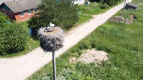 有关@户外, гнездо, дрон的免费素材视频