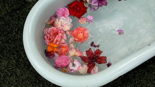 有关招手, 植物群, 水的免费素材视频