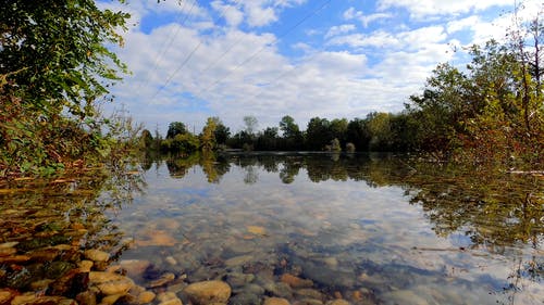 有关冷静, 反射, 天性的免费素材视频