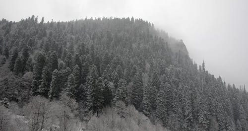 有关@户外, 下雪的天气, 冬季的免费素材视频