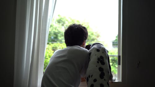 有关人, 伴侣, 家伙的免费素材视频