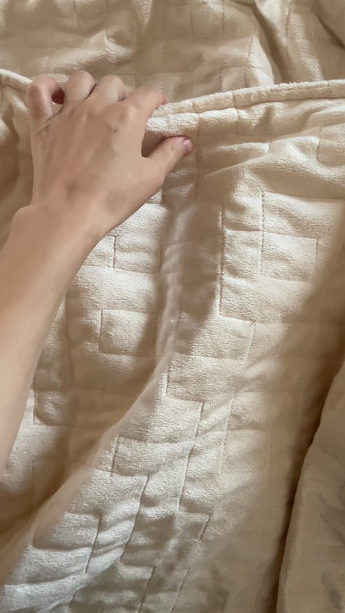 宠物在床单下睡觉 · 免费素材视频