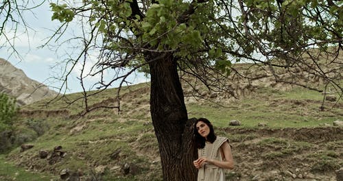 有关下, 分公司, 女人的免费素材视频