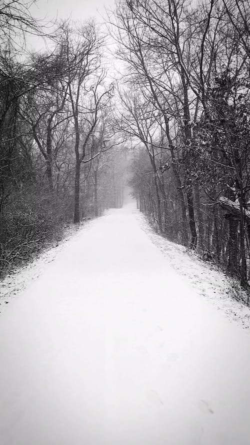 有关下雪, 下雪的, 冬季的免费素材视频