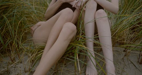 有关一对, 一起, 两个人的免费素材视频