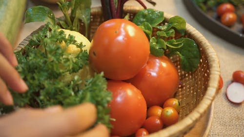 有关人, 健康, 可口的的免费素材视频