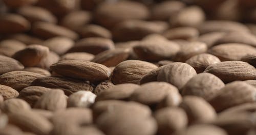 有关坚果, 杏仁, 浅焦点的免费素材视频