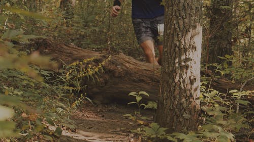 有关亚军, 人们跑步, 健身的免费素材视频