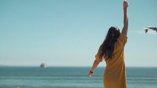 有关举起手臂, 夏天, 梦想的的免费素材视频