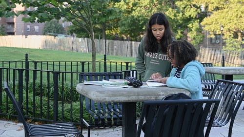 有关垂直视频, 学校, 学生的免费素材视频