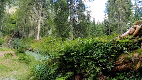 有关天性, 工厂, 户外的免费素材视频