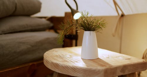 有关光, 室内植物, 木桌的免费素材视频