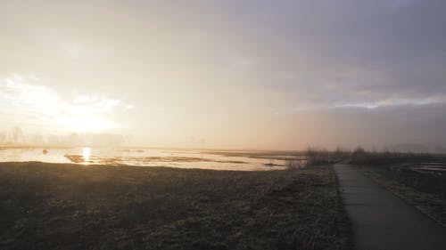 有关dwingelderveld, 冬季, 冷的免费素材视频