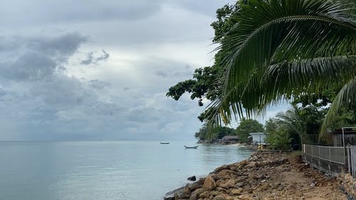 有关假期, 天性, 天空的免费素材视频