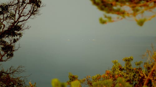 有关岛, 广大, 户外的免费素材视频