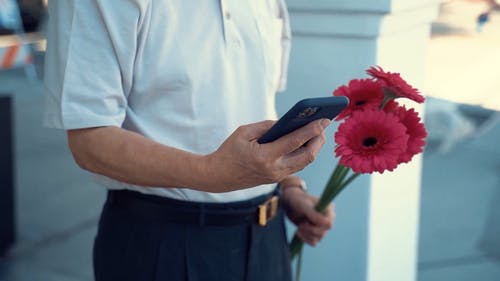 男子手持他的智能手机和红色的花 · 免费素材视频