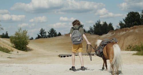 有关人, 动物, 宠物的免费素材视频