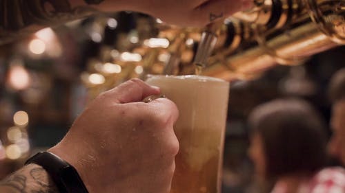 有关商业, 啤酒, 啤酒杯的免费素材视频