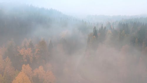 有关4k视频, 天性, 户外的免费素材视频