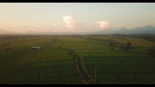 有关@户外, 下田, 农业用地的免费素材视频