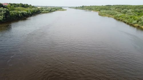 有关和平的, 天性, 户外的免费素材视频